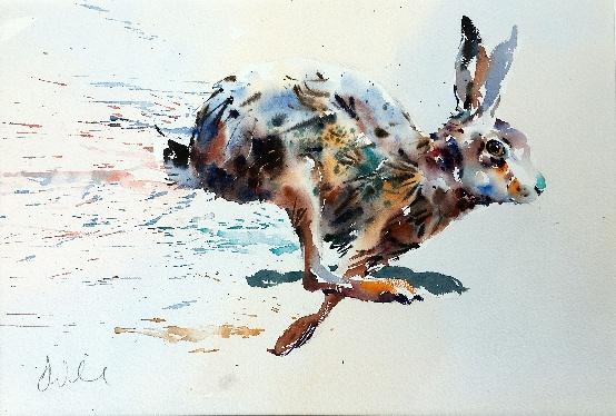 jakewinkleanimalsinmovementnov26